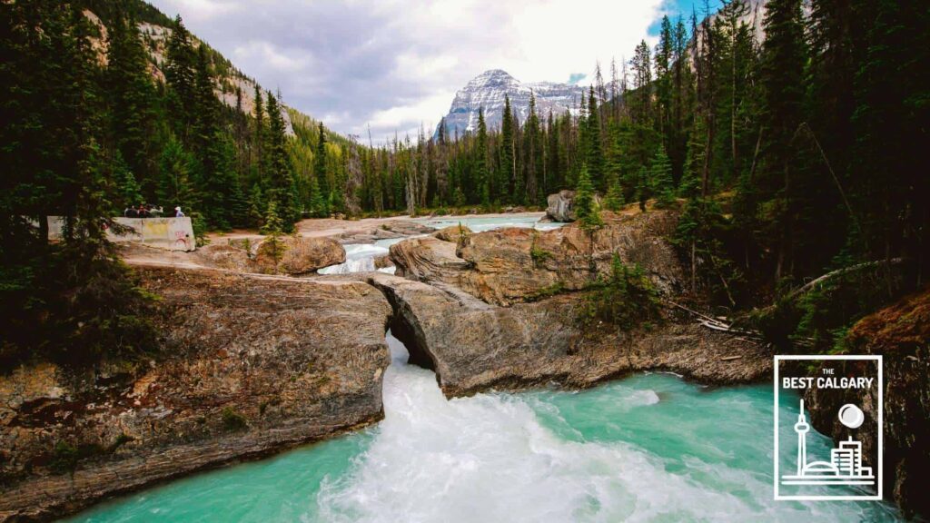 Exploring Bridgeland, Calgary Your Ultimate Travel Handbook