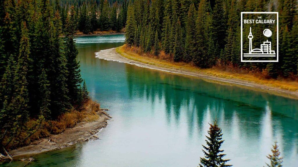 How to Best Explore the Bowness Neighborhood in Calgary