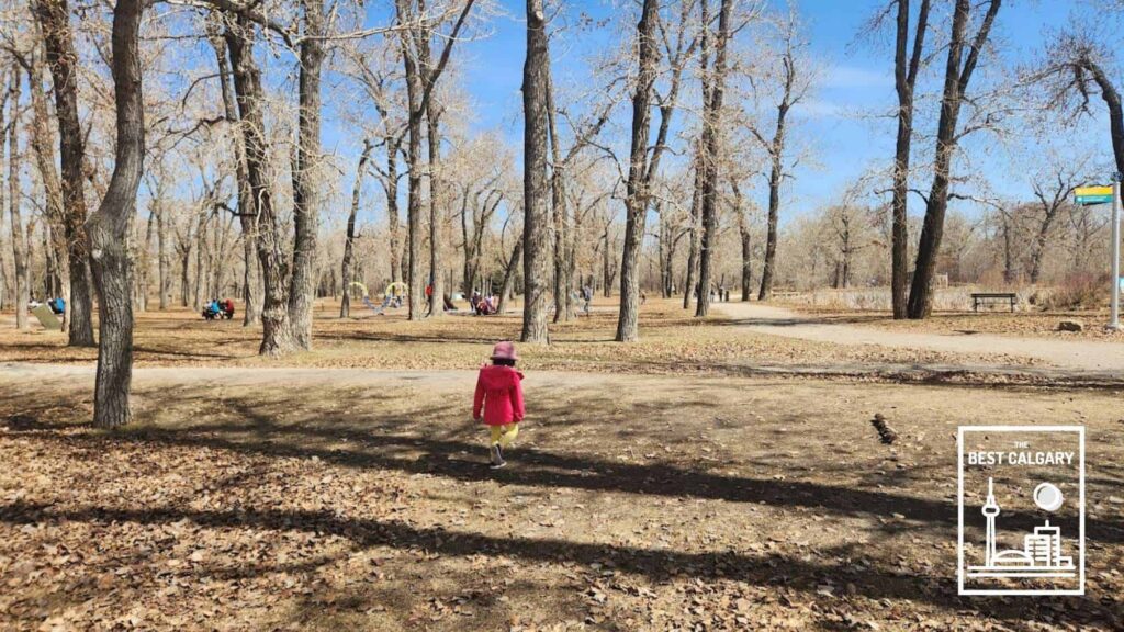 The Mesmerizing Beauty of Inglewood, Calgary The Complete Travel Guide