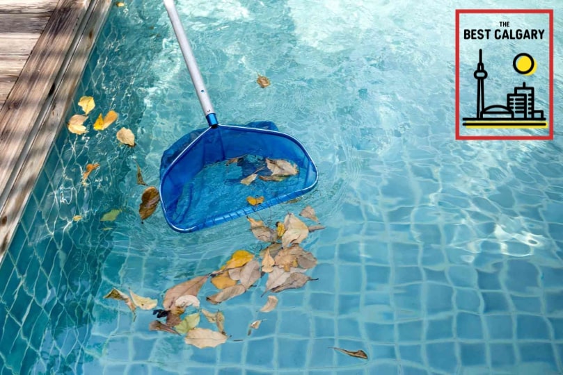 Keep Your Pool Hygienic with Calgary’s 5 Best Pool Cleaners