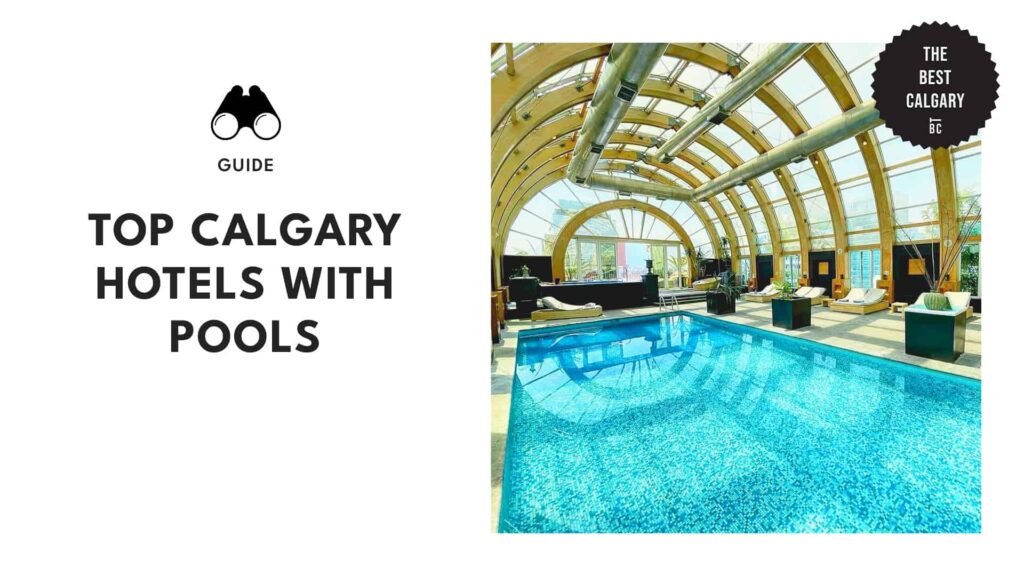 Calgary’s Aquatic Retreats Top 15 Hotels in the City for Pool Lovers