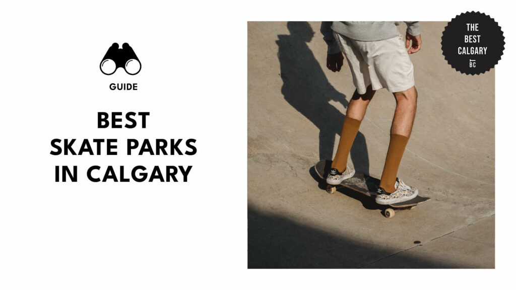 Skateboarding Haven 5 of the Best Skateparks in Calgary!