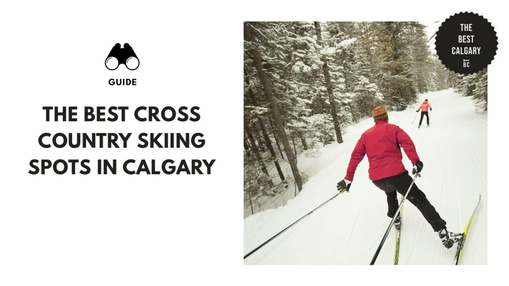 Snowy Ventures The Coolest Cross Country Skiing Spots in Calgary