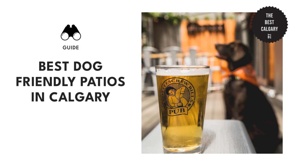 The Top Dog-Friendly Patios in Calgary