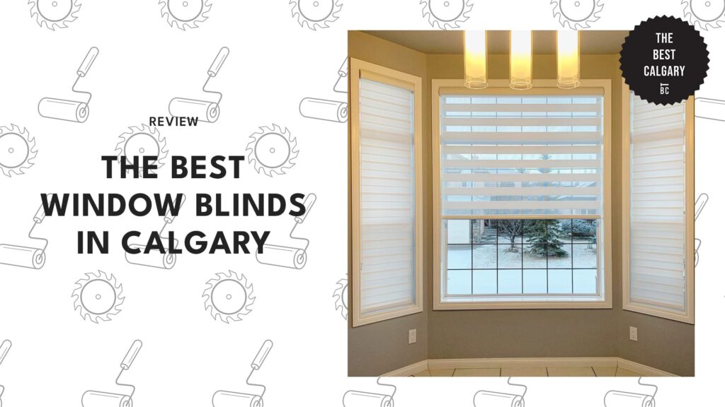 Best Window Blinds