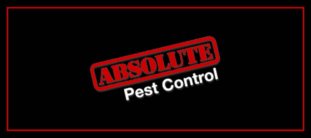 absolute-pest-control-services-inc-logo