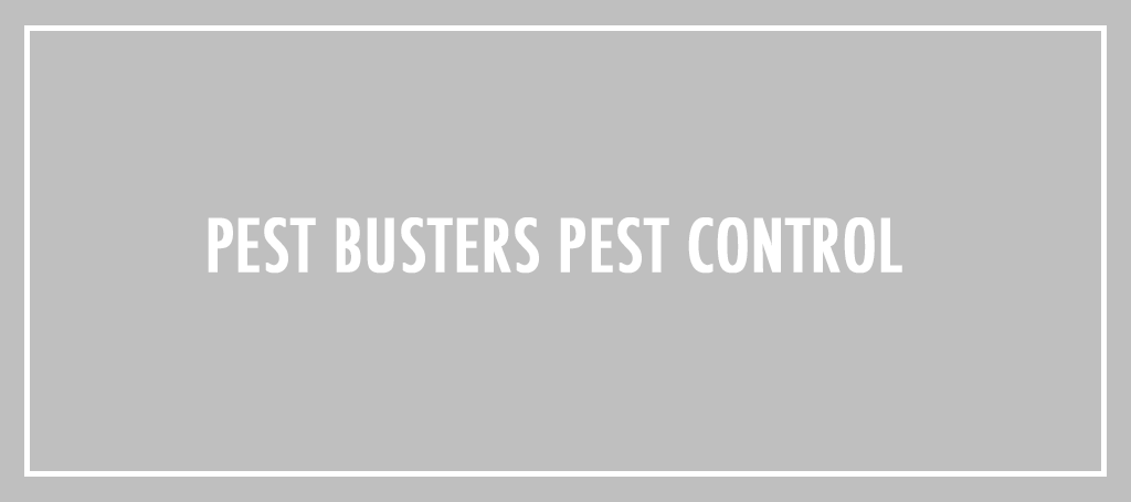 pest-busters-pest-control-logo