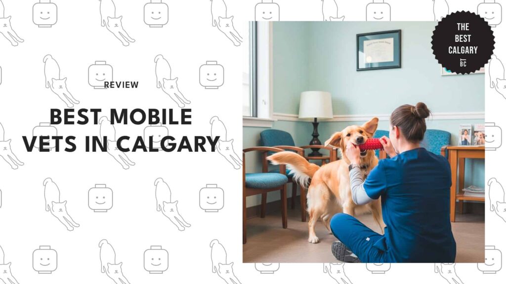 best-mobile-vets-calgary-banner