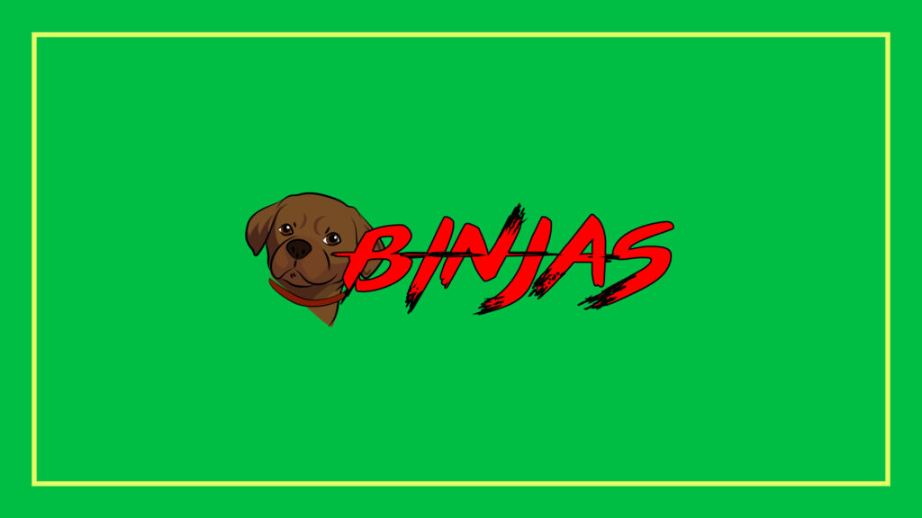binjas-bin-cleaning-inc-logo