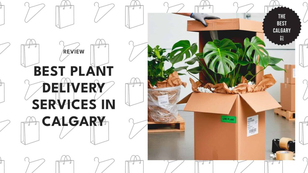 best-plant-delivery-calgary-banner