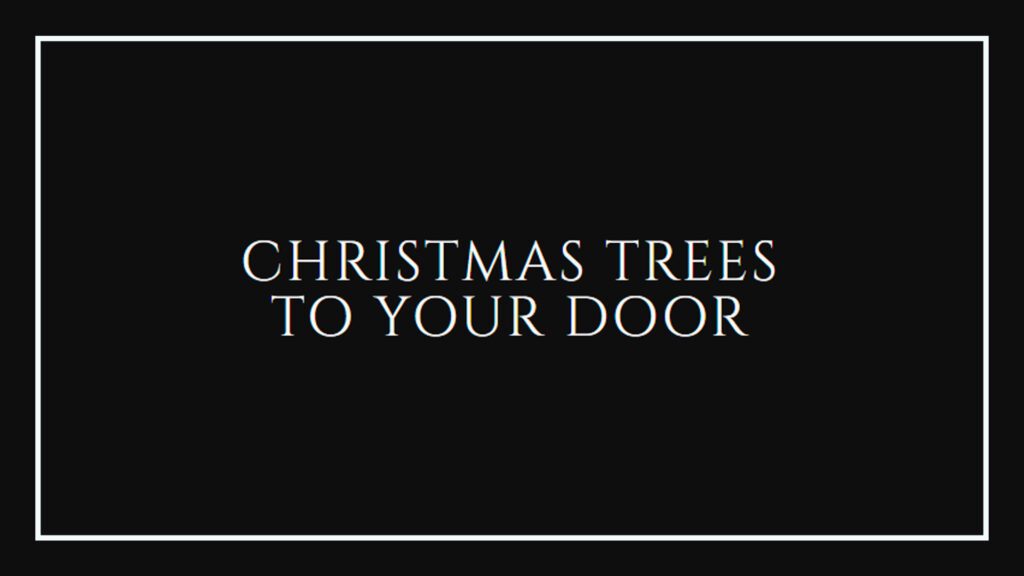 christmas-trees-to-your-door-logo