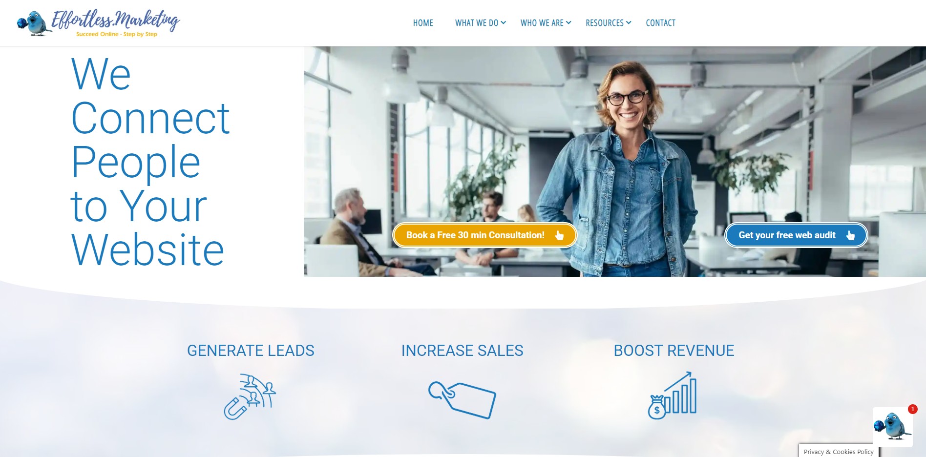 effortless marketing homepage