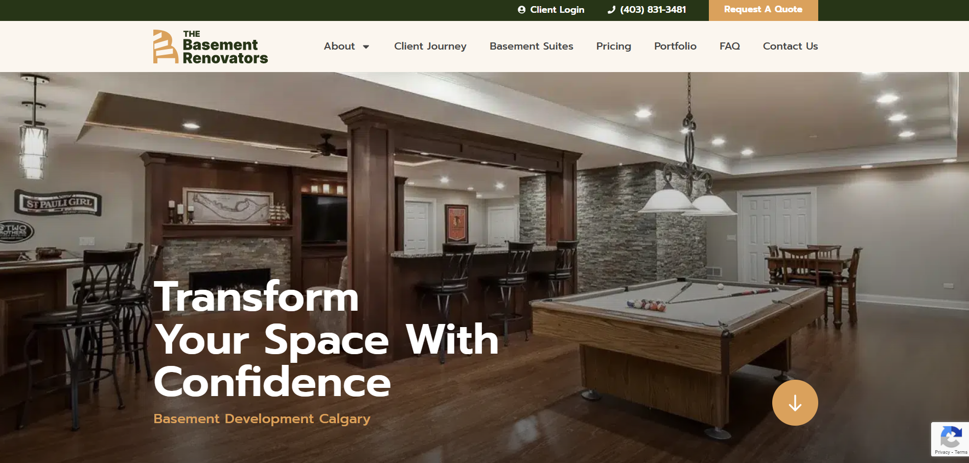 the basement renovators homepage