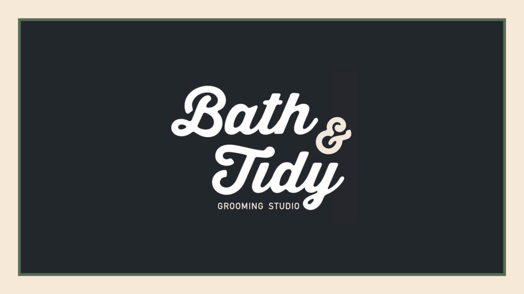 bath-tidy-logo