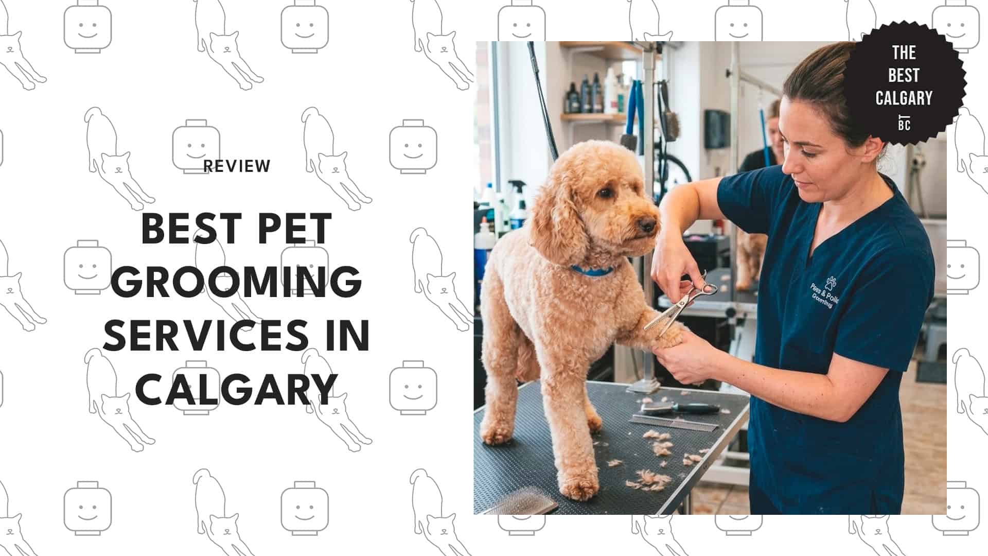 best-pet-grooming-calgary-banner