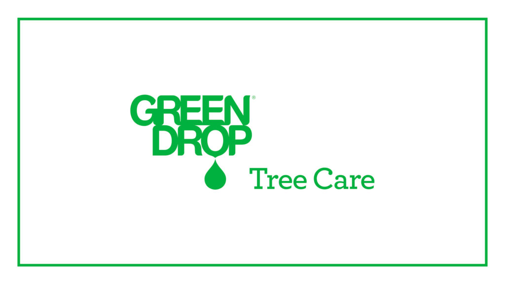 green-drop-tree-care-logo