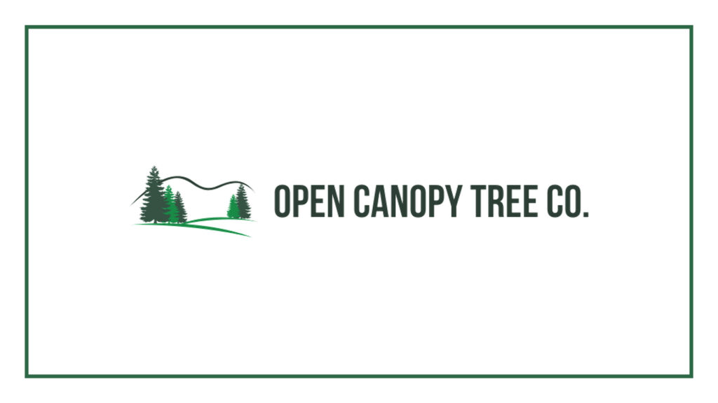 open-canopy-tree-co-logo