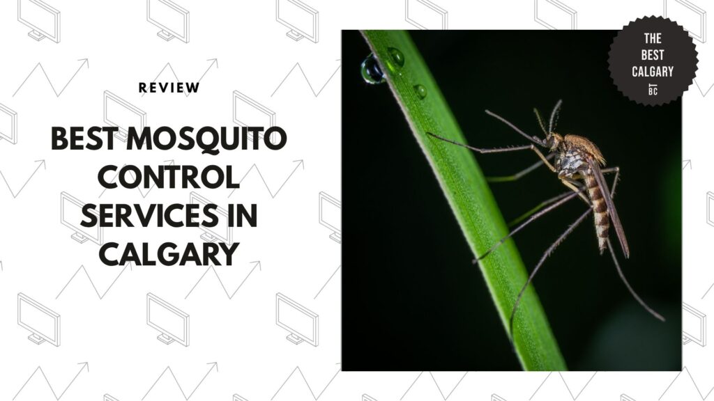 best-mosquito-control-calgary-banner