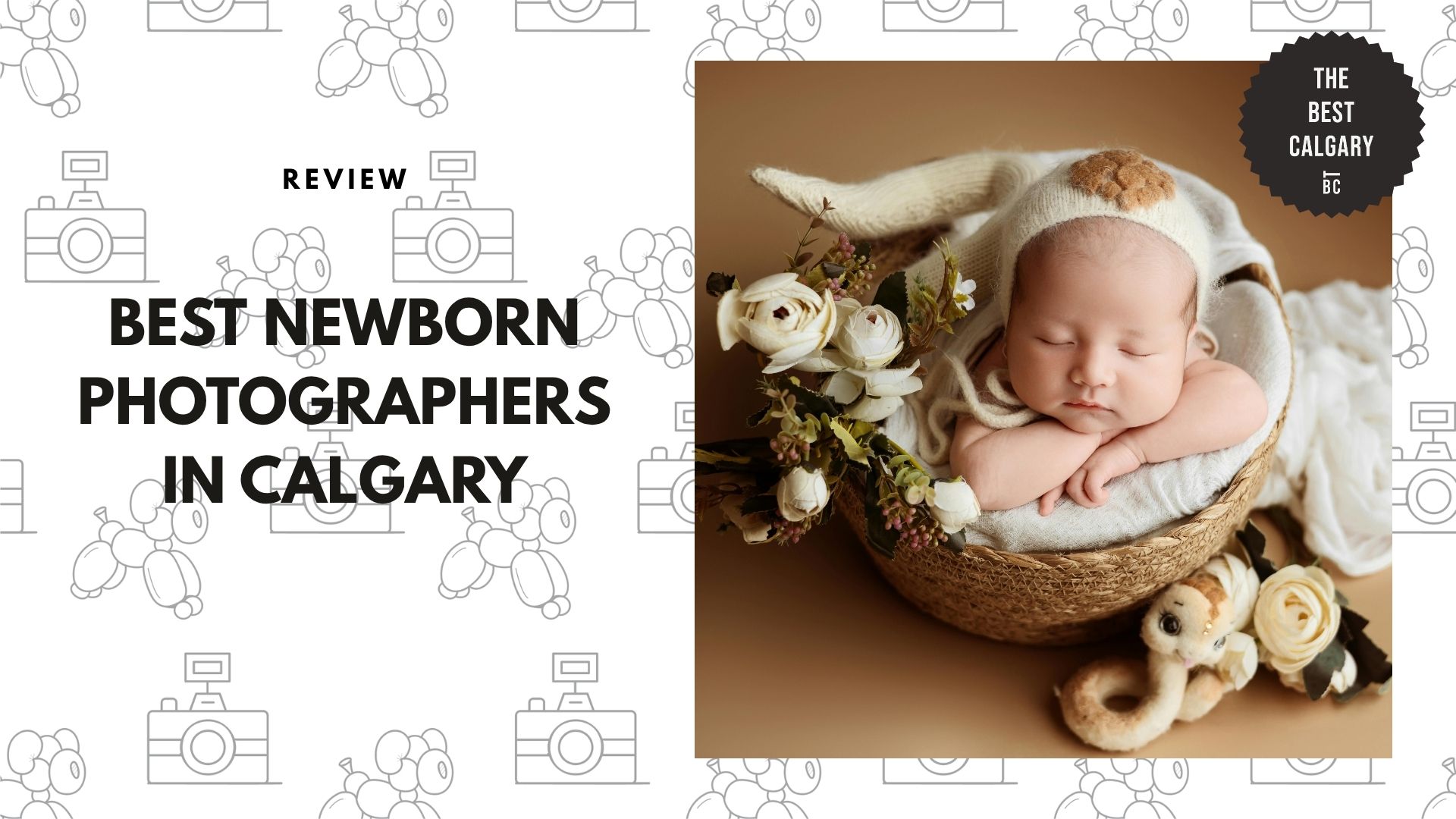 best-newborn-photography-calgary-banner